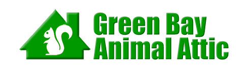 Green Bay Animal Attic